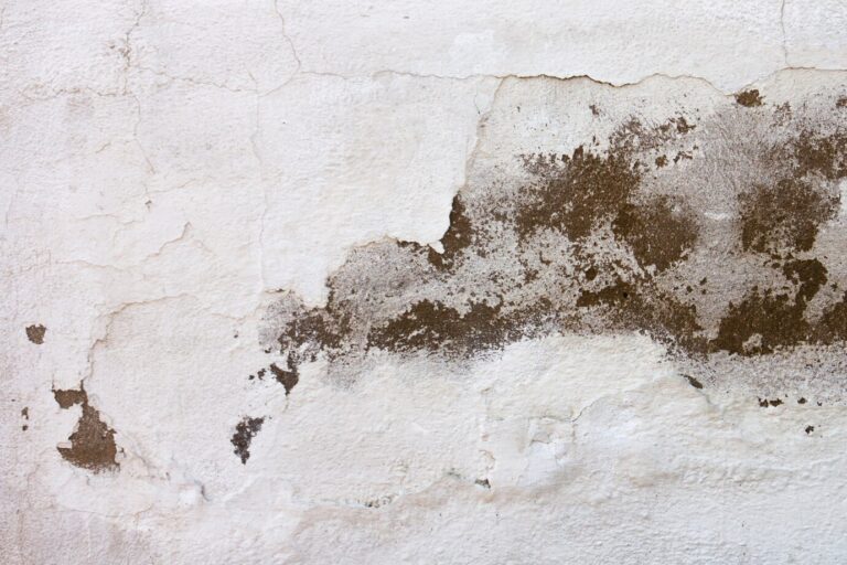 Weathered white wall with textured surface, showing brown streaks and cracks.