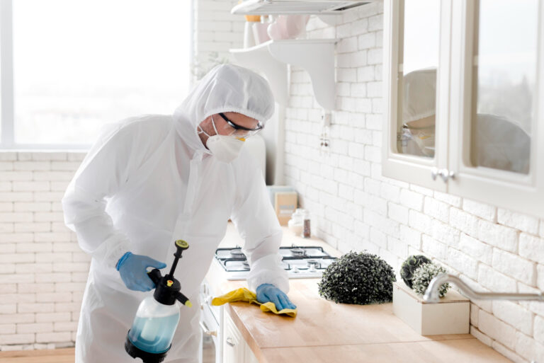treating mold infestation