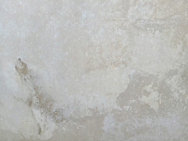 Mold Problems